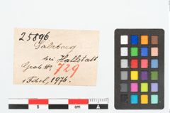 Etikett zu Bronzebrillenfibel (NHMW-PRAE-025896)